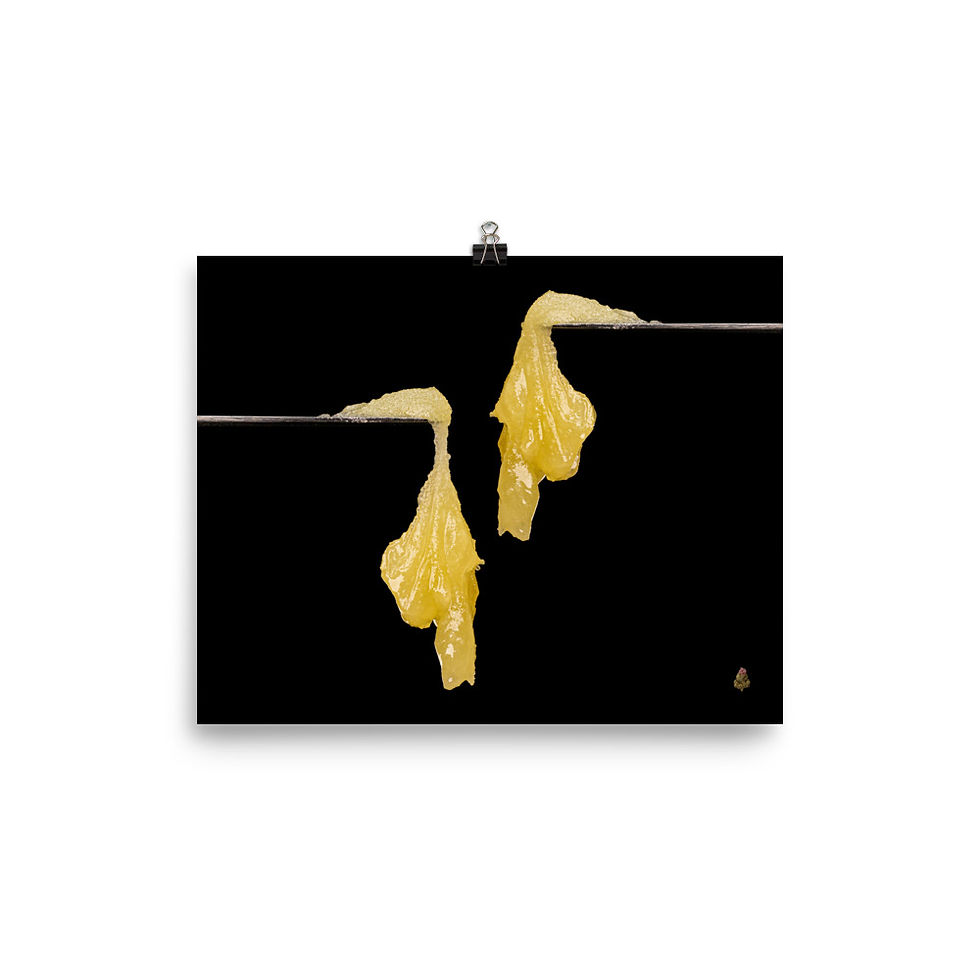 Thumbnail: Sour Apricot Photo Paper Poster