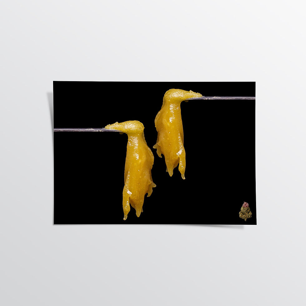 Thumbnail: Sour Wilson Hash Rosin - Photo Paper Poster