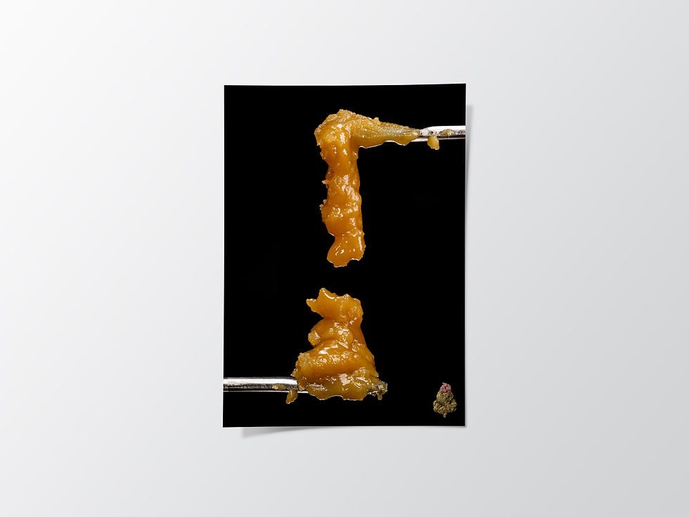 Thumbnail: OZK Photo Paper Poster