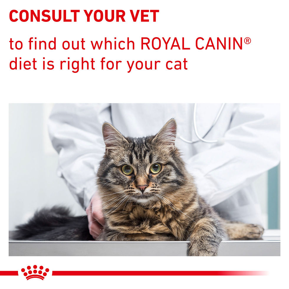 Thumbnail: RC CAT CALM 2KG
