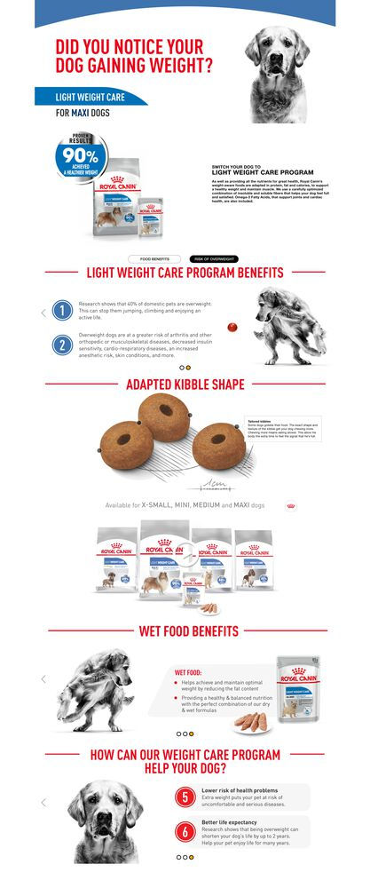 Thumbnail: RC CCN DOG MAXI LIGHT WEIGHT CARE 12KG
