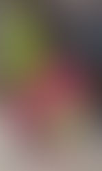 【お知らせ】「サマートレーニング（＝夏期講習）」お申込みについてのQ&A