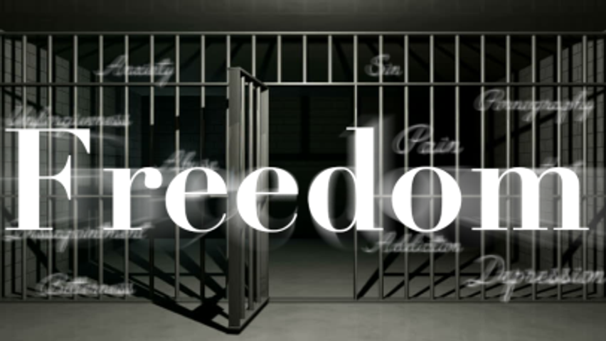 Freedom