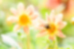 HTT July 24_002.JPG