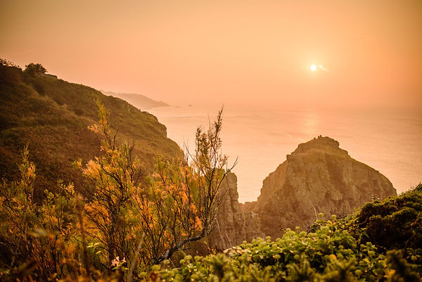 Sam and Jim Sark Wedding_377.JPG