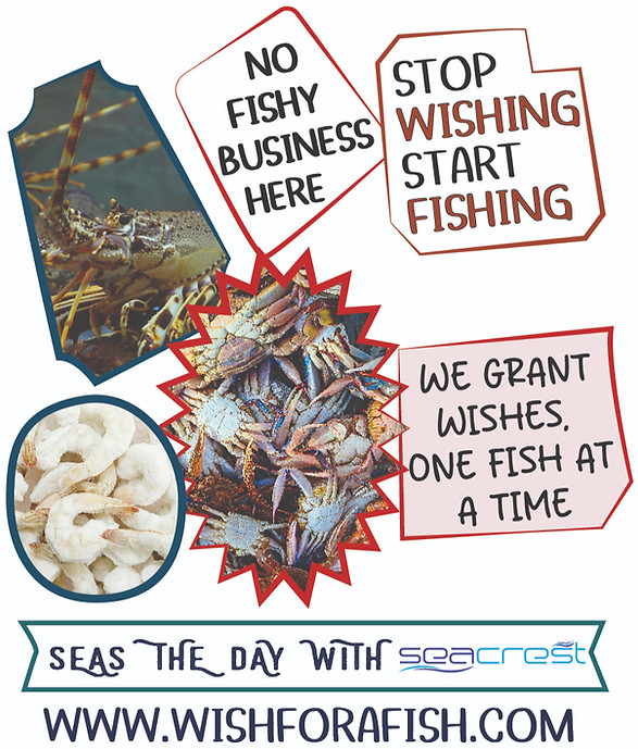 SEACREST website DESIGN-01_edited.jpg