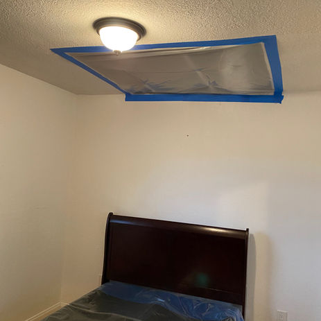 Mold Remediation After