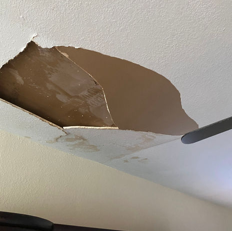 Mold Damage Before