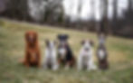 Group Photo