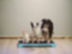 Place training