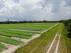 Photo Jul 28 2025, 4 13 04 PM (12)