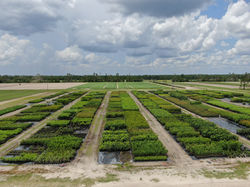 Photo Jun 11 2025, 4 33 28 PM