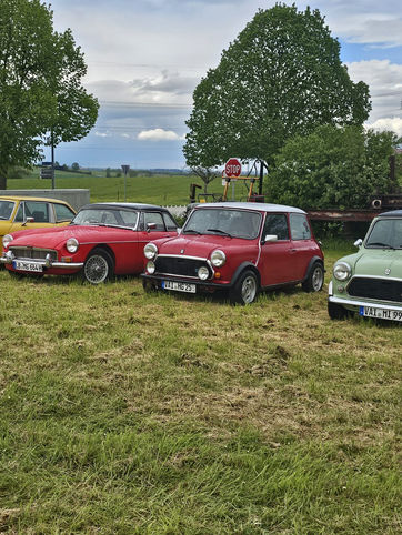 Oldtimer-Autos auf einer Wiese, Oldtimer-Treffen, grüne Bäume, Trabifans Karlsruhe.