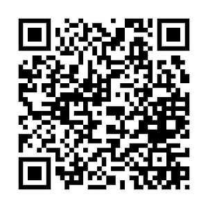 71842569_426650914517728_273394854736691