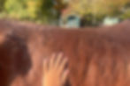Im Moment sein.