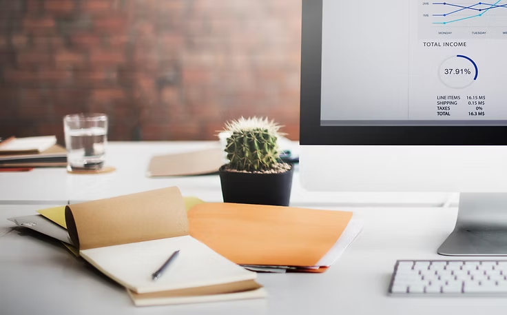 Desk with cactus, notebooks, and pen. Computer shows income chart. Brick wall in background. Calm office setting.