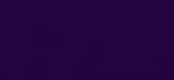 IMG_6684.jpeg