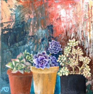 Succulents 2