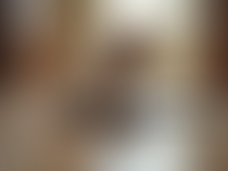 Puppy Training Must-Haves: The Essentials for Training Your Puppy