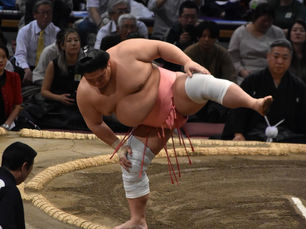 How to see Sumo Wrestling in Japan
