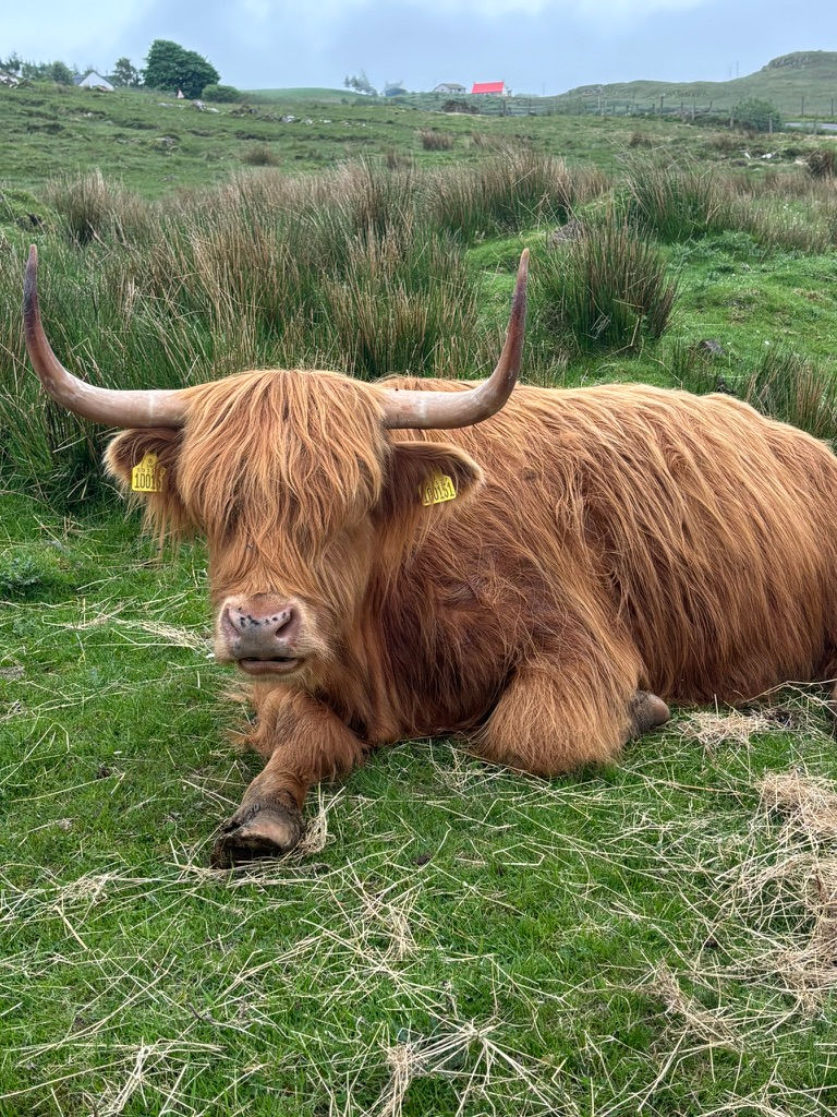 Scotland - 2 week itinerary that is NOT the NC500