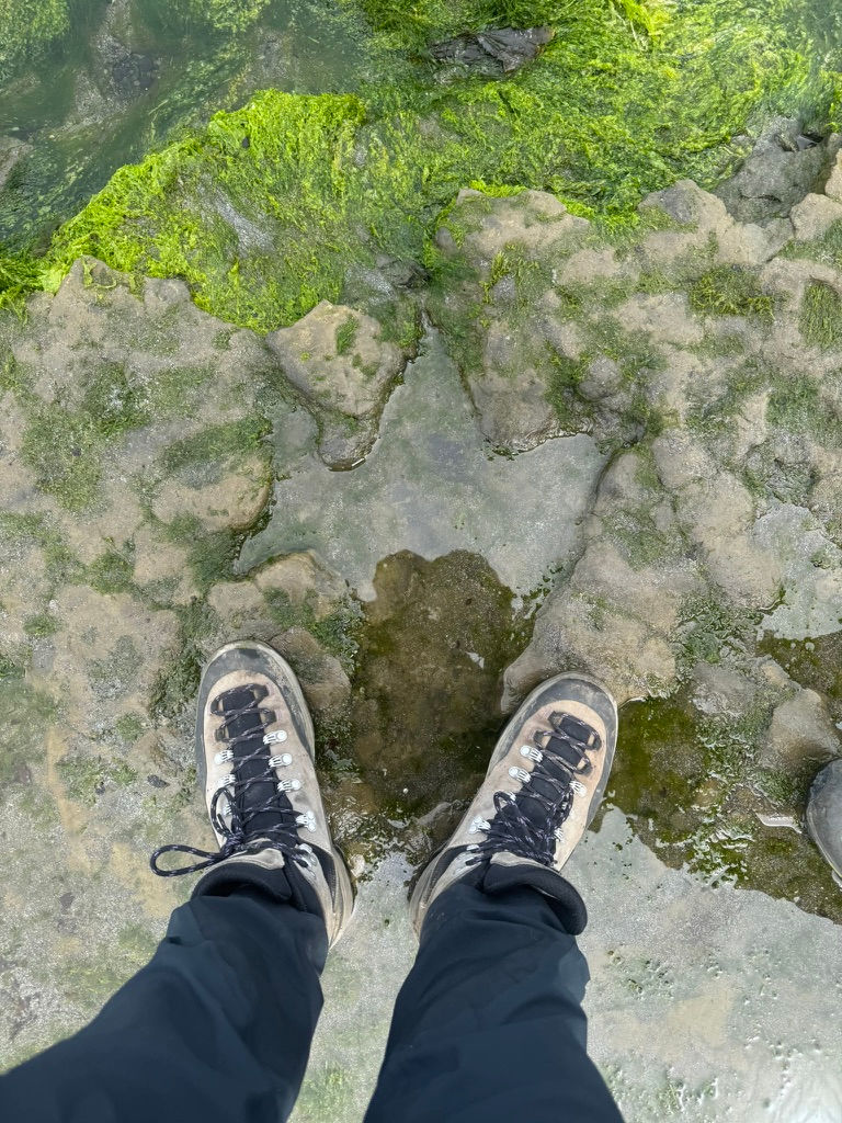 Dinosaur footprints at An Corran beach
