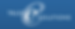 Trust e solutions Logo