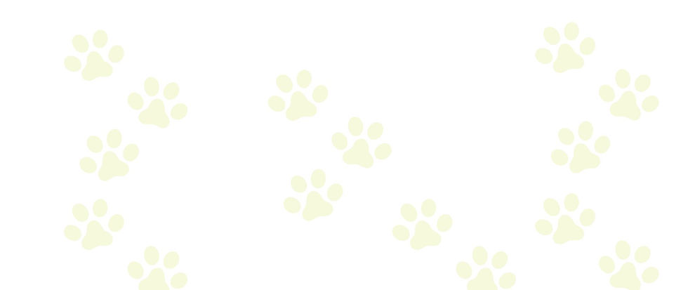 Paws Background.jpg