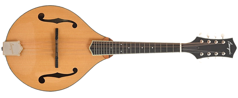 front Bourgois M5-A A-Style Mandolin