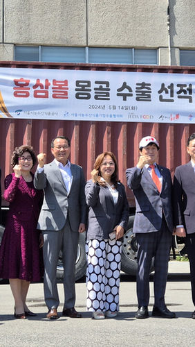 Yakdoya and Hongsamball Export to Mongolia