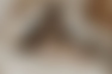 5 things you'll never find your holistic chiropractor doing: