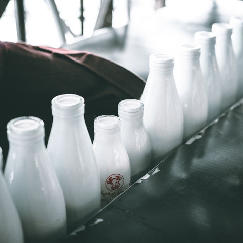 A Functional Medicine Approach to Dairy