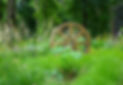 AdobeStock_367594957_Preview_edited.jpg