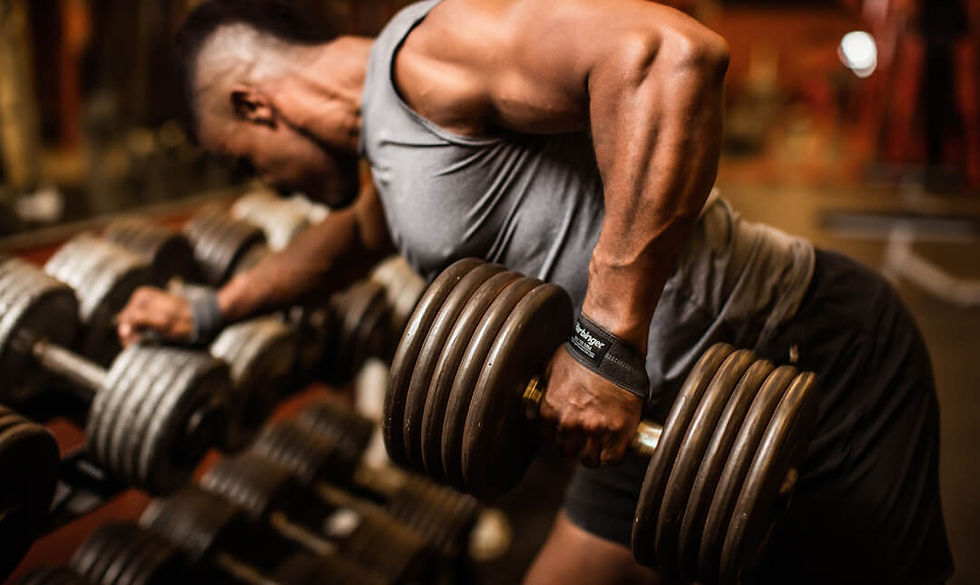 Thumbnail: Harbinger | Leather Lifting Straps - Grey
