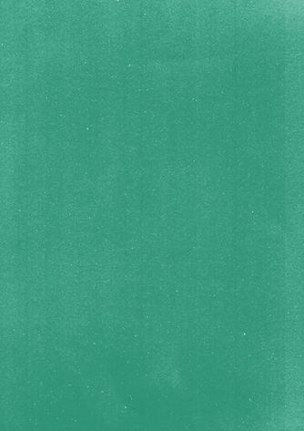 FOND VERT.jpg