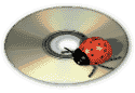 dj ladybug