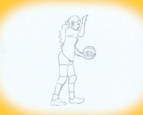 volley-ezgif.com-crop.gif