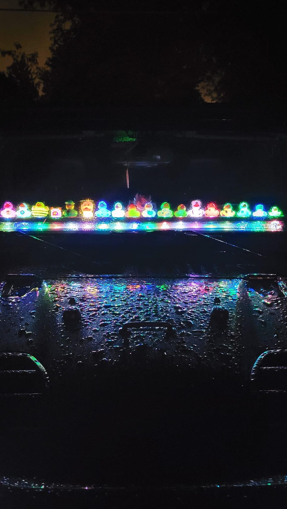 Thumbnail: Duckwood LED dual lights for JL/JT