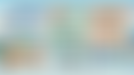 Japon Check list documentos working holiday visa