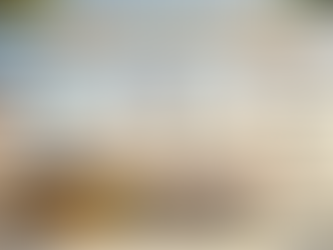 portugal Working Holiday 2026 Apertura