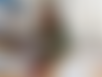 Japon: Se requiere un nivel minimo de estudios para postular a la WHV?