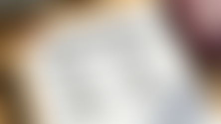 ¿Qué documentos debo presentar traducidos para la WHV Alemania?