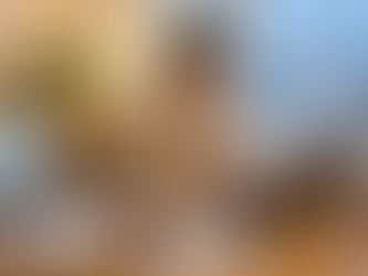 Working Holiday Finlandia traducciones Migri documentos Apostilla