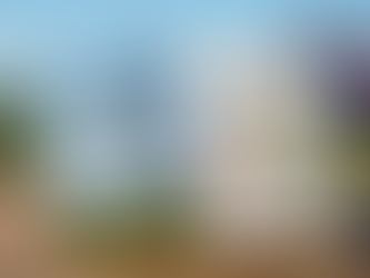 Estados de Solicitud de tu WHV de Nueva Zelanda