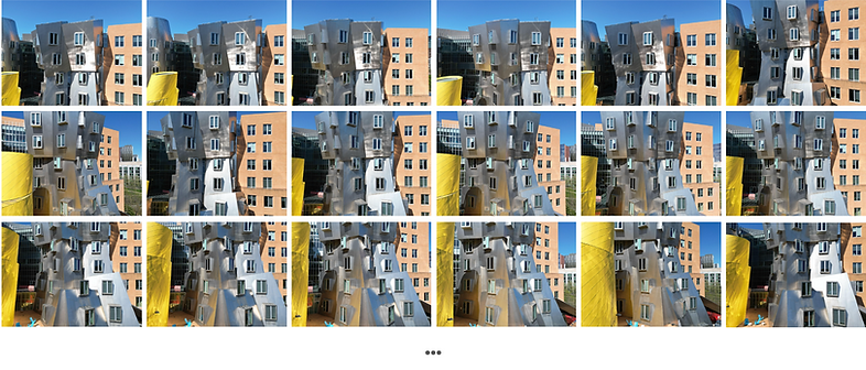 dataset.png