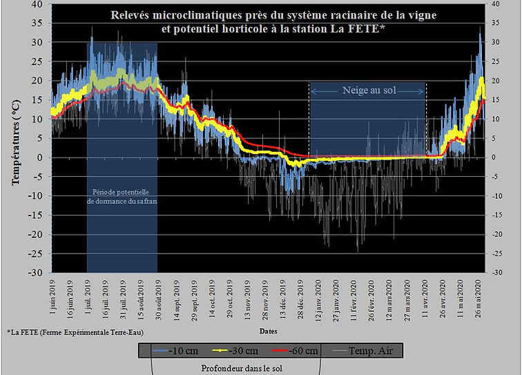 Température du sol (2).jpg