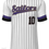 Thumbnail: Hotstove Official Team Jersey