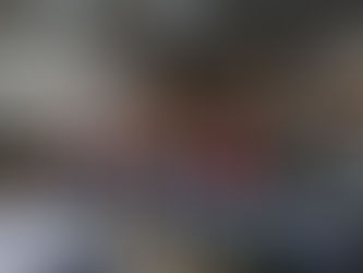 SECOND VISIT TO PAECH FARM - SUNDAY MARCH 11 2018