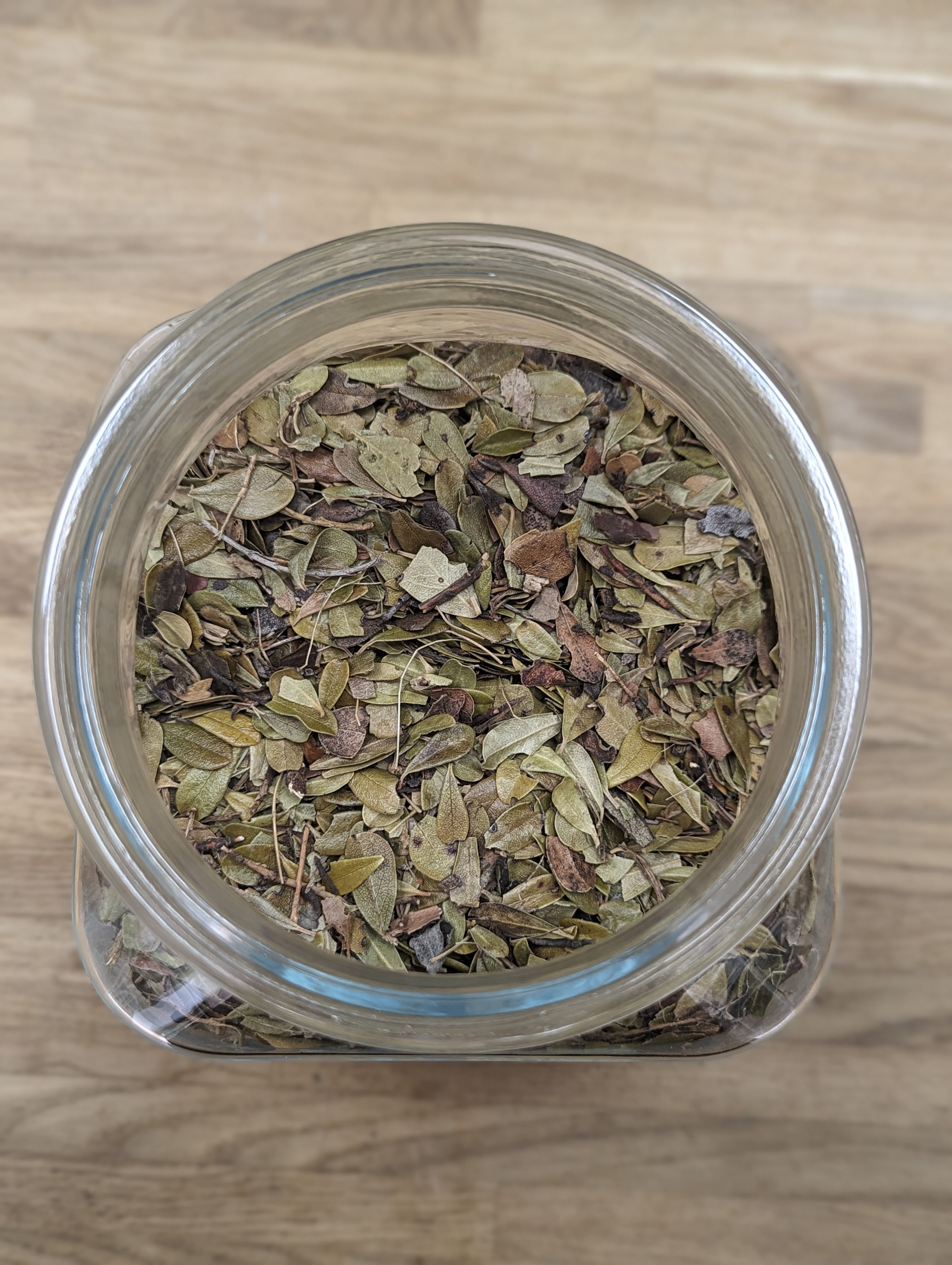 Uvae Ursi Leaf (Bearberry)