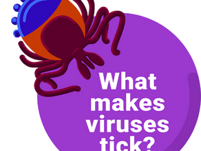 What Makes Viruses Tick? - A Citizen Science Project